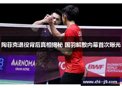 陶菲克退役背后真相揭秘 国羽解散内幕首次曝光