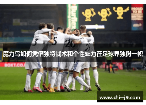 魔力鸟如何凭借独特战术和个性魅力在足球界独树一帜