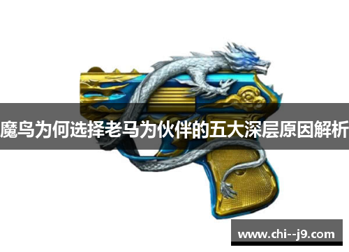 魔鸟为何选择老马为伙伴的五大深层原因解析